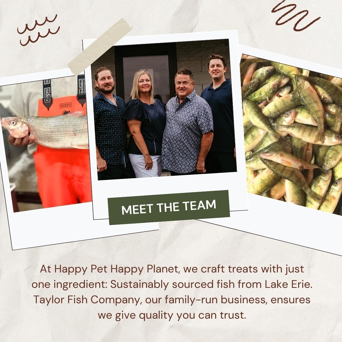 Fish Dog Treats for Small, Medium, Large Dogs | One-Ingredient Natural Organic Dog Training Treats | Human-Grade, High-Protein, Low-Fat, Omega 3, Grain-free | Satisfy Urge to Chew (1LB/16oz Bag)