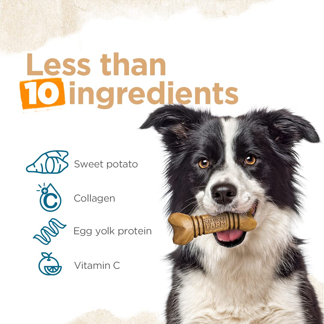 Natural Farm All-Natural Dog Dental Chew, Dog Teeth Cleaning Treats - Fresh Breath, Fight Plaque & Tartar - Canine Mess-Free Oral Care, Teeth Cleaning Chews for Dogs 15-25 Lbs (40 Counts)