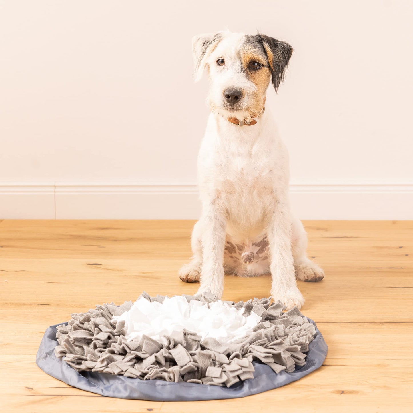 Navaris Snuffle Mat for Dogs - Dog Cat Pet Sniffing and Foraging Toy - Skills Blanket for Hidden Treats Snacks and Food - Machine-Washable - Round 18-7/8" (48 cm) - Black & White
