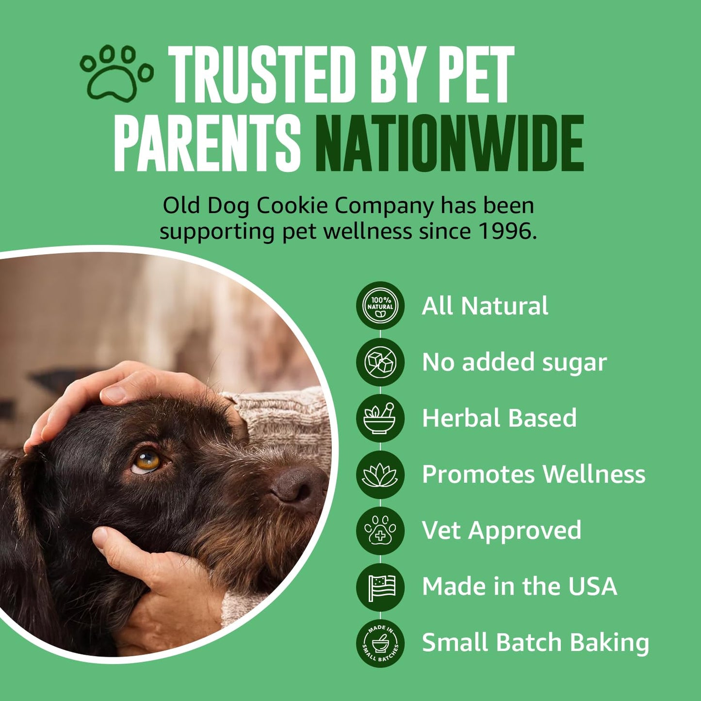 Old Dog Cookie Company Tiny Diabetic Dog Treats | All Natural, 2 Calorie, Vet Approved Pet Snacks | Top Treat for Dogs | Healthy Chews for Large, Medium & Small Breeds | 8 oz