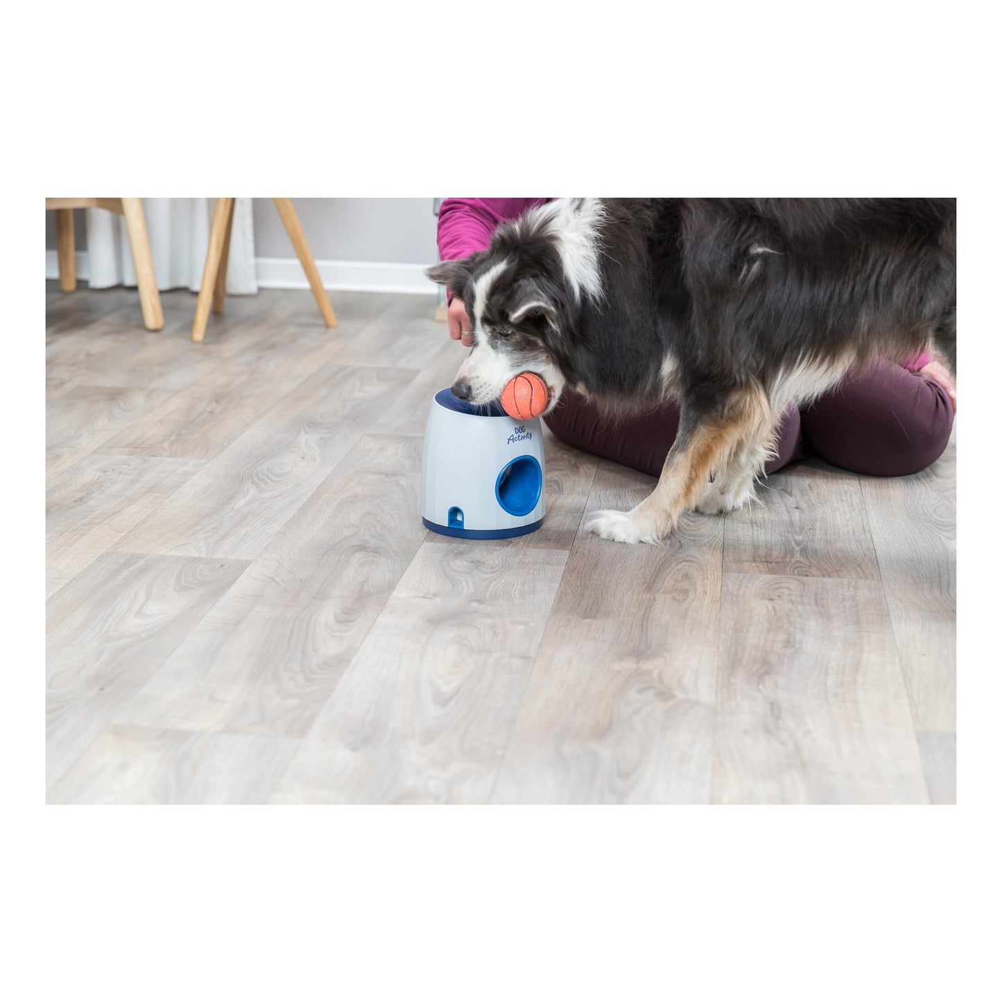 TRIXIE Ball & Treat Dog Enrichment Toy, Advanced Level 3 Dog Puzzle, Interactive Treat Game