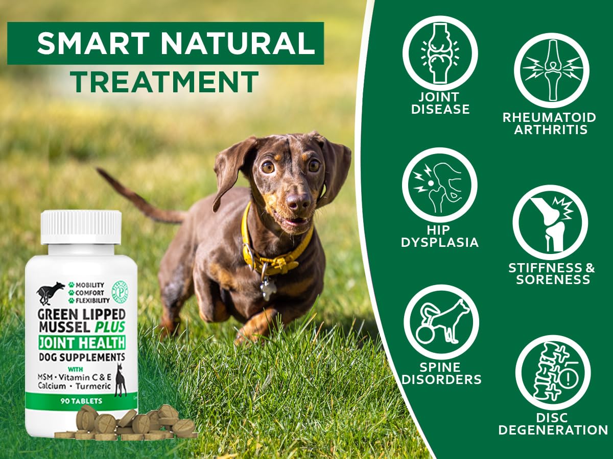 Plantonin Green Lipped Mussel for Dogs – 1325mg High Strength Hip & Joint Supplement for Dogs with Omega-3 – Supports Dog Joint Health, Mobility & Vitality – 90 Dog Joint Supplements Tablets