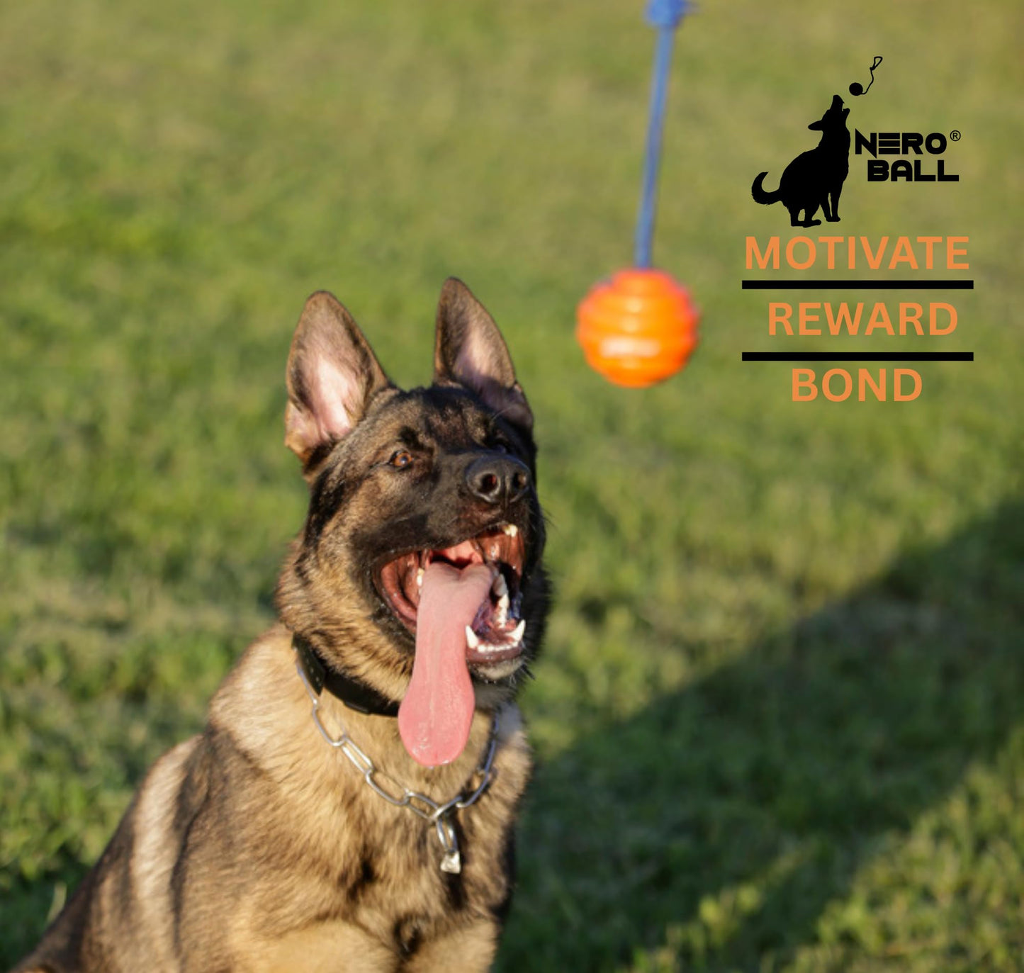 Nero Ball Pro K-9 Dog Training Ball on Rope – 2.75″ Heavy-Duty Natural Rubber Reward & Tug Toy with Nylon Throw Handle – High-Visibility Orange – Police, Military & Sport Working Dogs Fetch