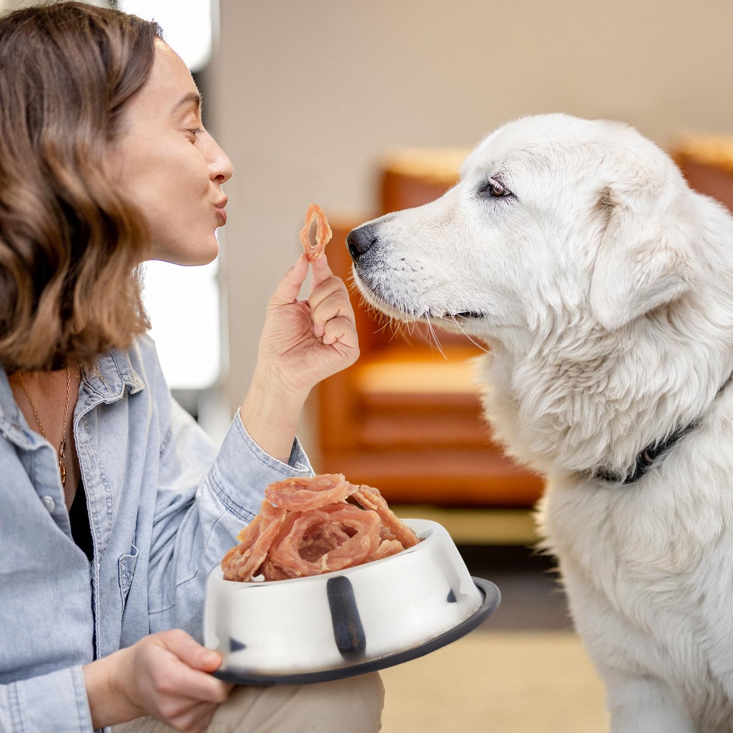 Jungle Calling Chicken Rings Dog Treats, Slow Roasted Chicken Jerky, Rawhide Free Dog Chews, High Protein Training Treats, Hip and Joint Health with Glucosamine, 10.6 oz