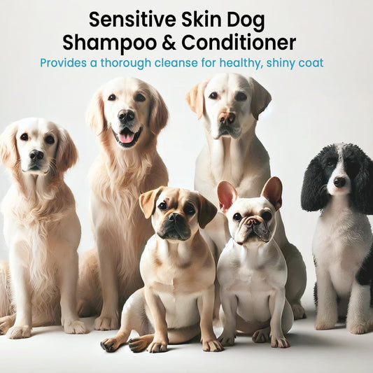 Dog Shampoo and Conditioner Set for Itchy Skin, Allergies & Odor – 2-in-1 Calming Formula with Lavender, Rosemary & Biotin – Moisturizing & Detangling – Safe for Puppies & All Breeds – 16 oz x 2