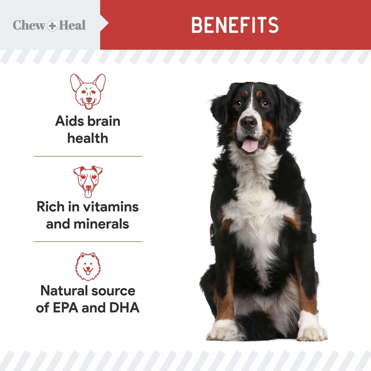 Chew + Heal Labs Dog Salmon Jerky Treats with Cognitive Support - 5 oz of Wild Caught Salmon Jerky Dog Treat - Made with Gingko Biloba, Blueberries, Cranberries, Pumpkin, and More - Made in The USA