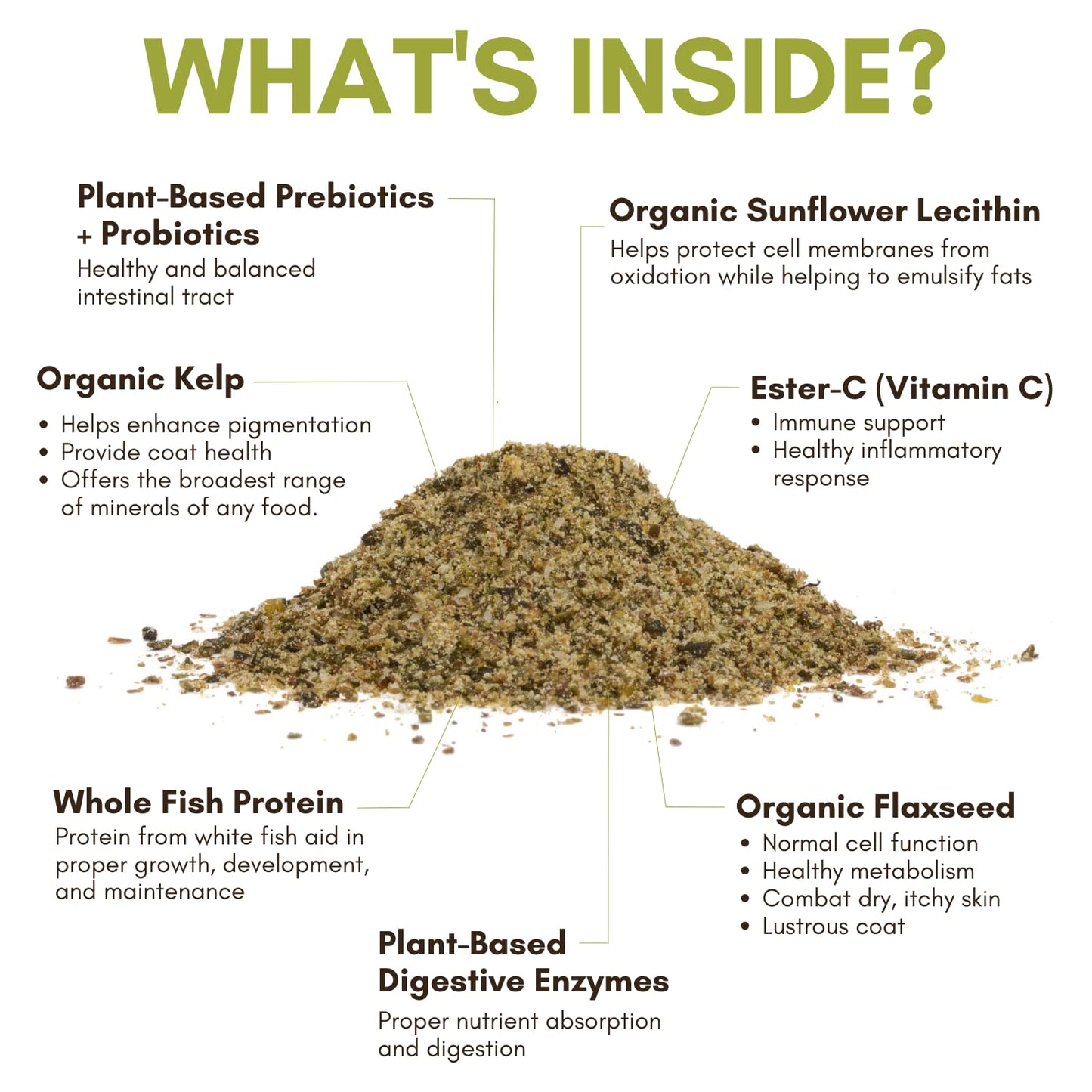 Organic Pumpkin Powder for Dogs - 16 oz of Powder for Dog Digestion with 5cc Scoop - Made with Pumpkin, Apple, and Carrots - Made in The USA