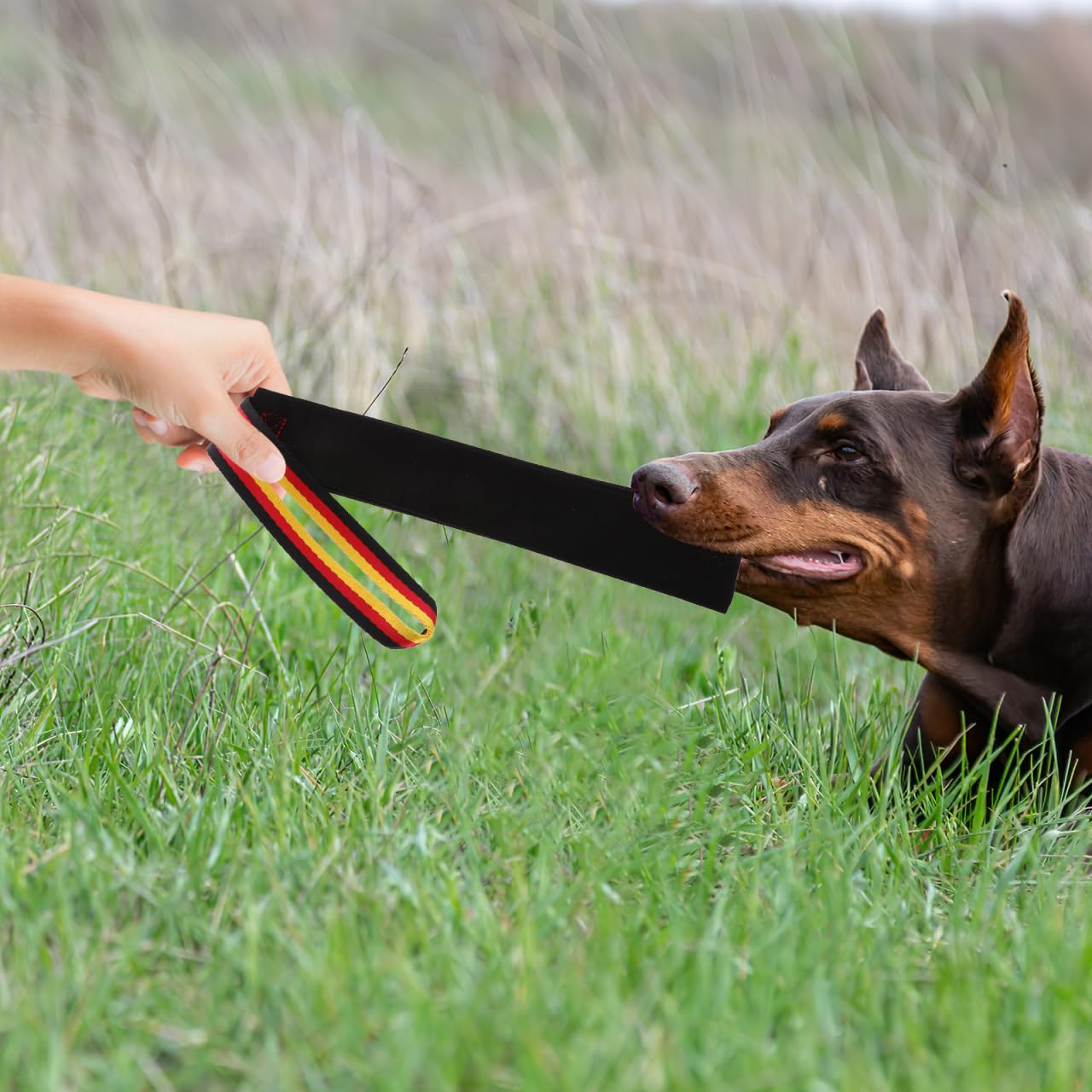 balacoo 2pcs Leather Puppy Bite Rag with Handle - Dog Tug Toy, Soft Leather Dog Training Tug Toy for Small Medium Large Dogs, Dogs Training Supplies, Black