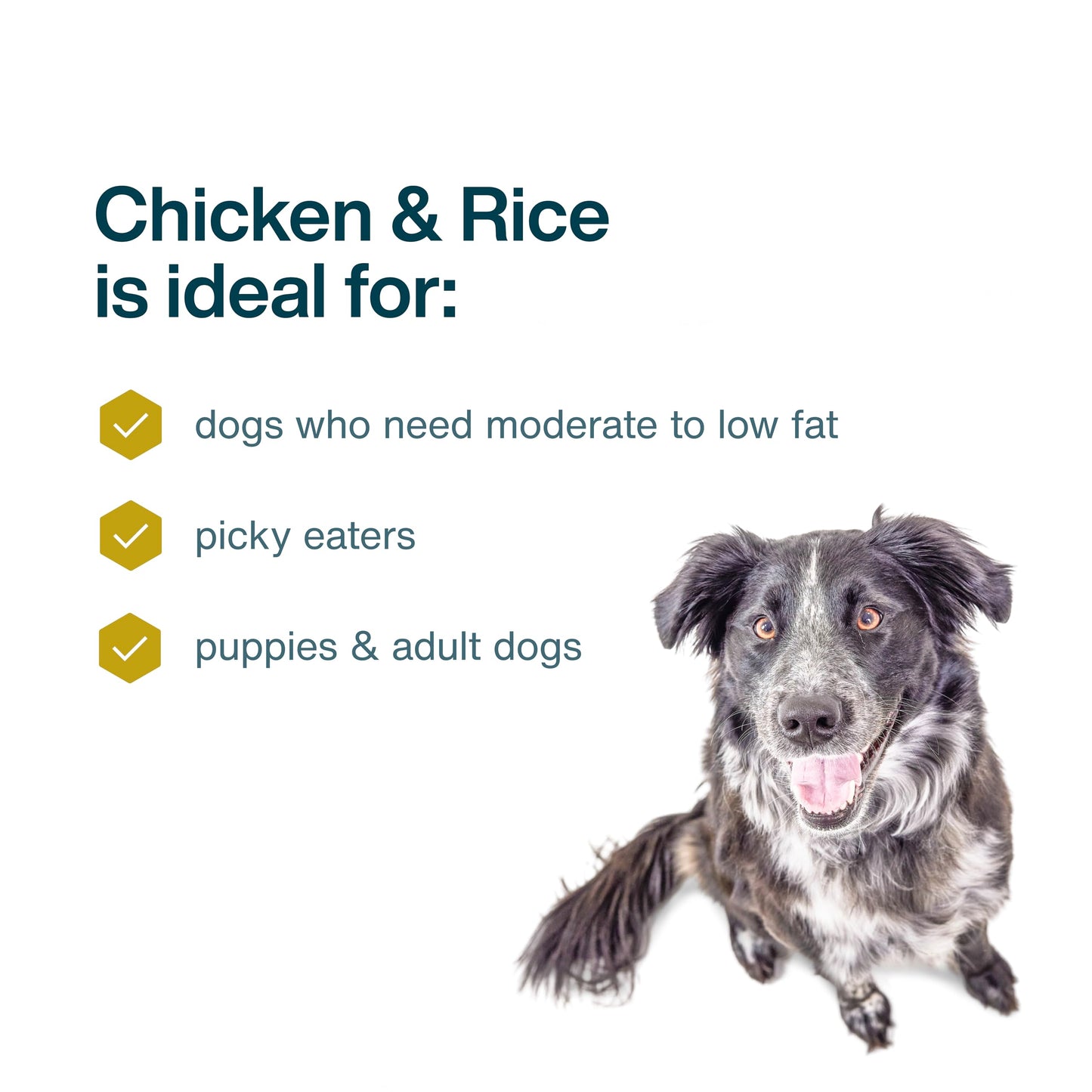 JustFoodForDogs Frozen Fresh Dog Food, Complete Meal or Dog Food Topper, Chicken & Rice Human Grade Recipe, 18 oz (Pack of 14)