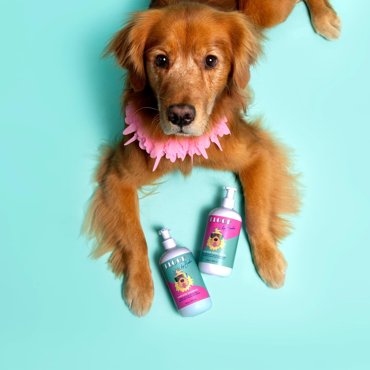 Floof by Brodie Everydog Nourishing and Deodorizing Dog & Cat Shampoo for All Coat Types, Detangles, Soothes with Aloe, Oat Milk, Plant Based Emolients, Pet Grooming Supplies (16oz)