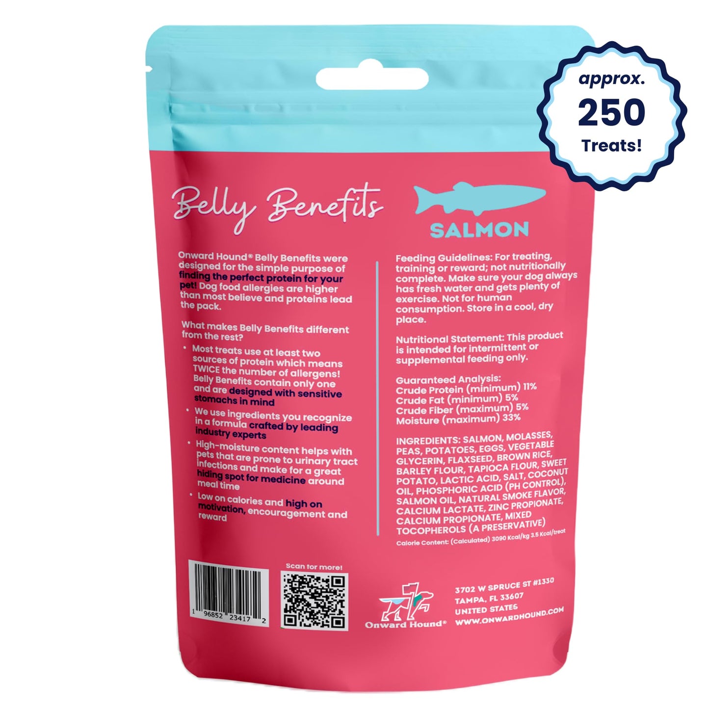 Onward Hound Training Treats for Dogs - Soft Salmon - Low Calorie Dog Training Treats for Sensitive Stomachs with Single Source Premium Protein, Corn Free, & Soy Free Formula - 10 oz