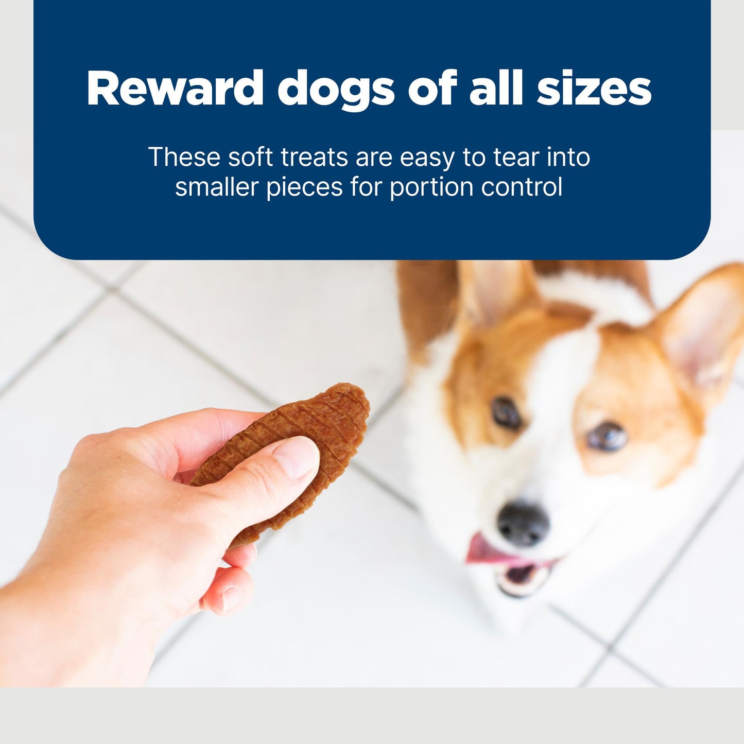 Blue Buffalo Nudges Jerky Cuts Natural Dog Treats Chicken Bag