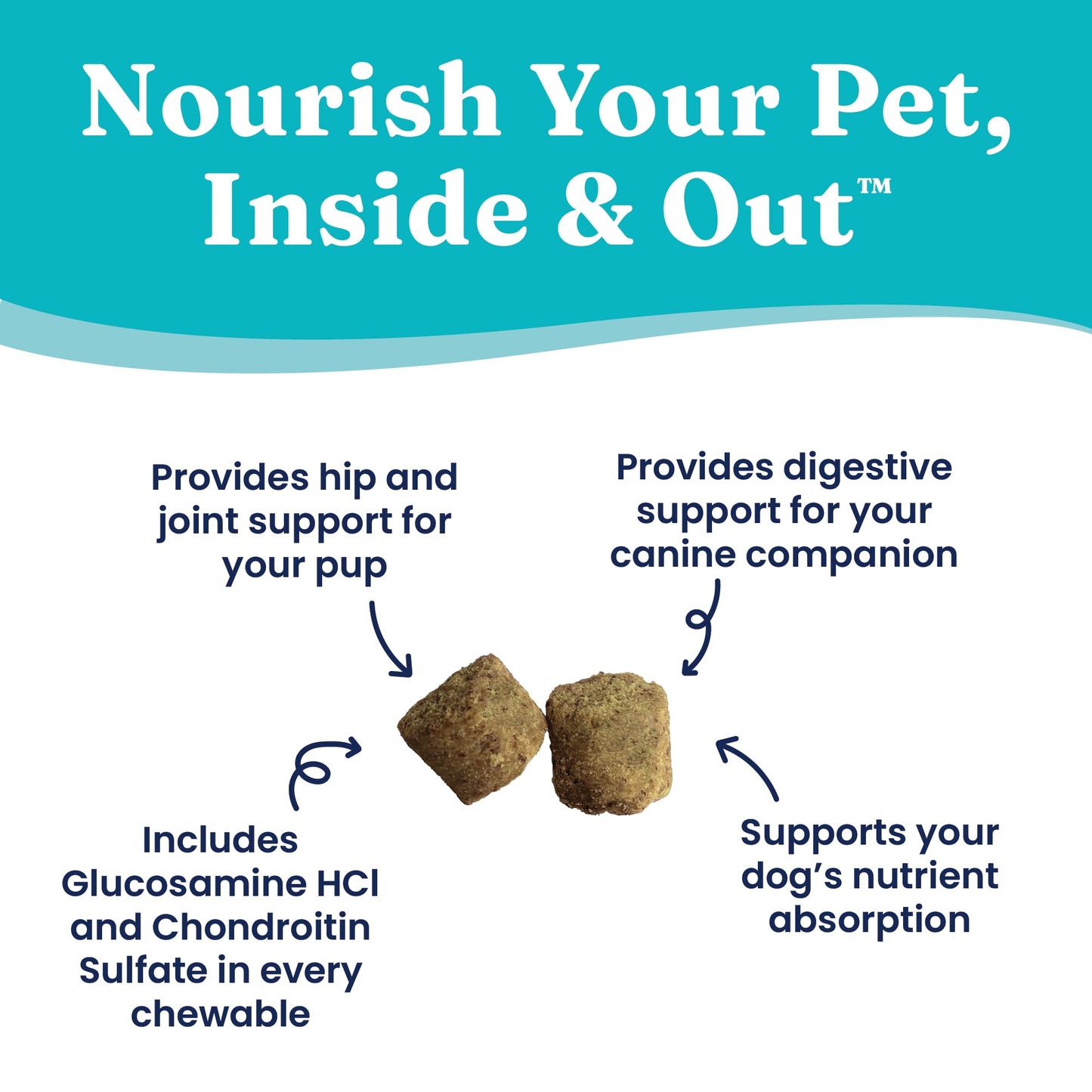 Solid Gold Healthy Dog Treats - Functional Chicken Dog Treat w/Glucosamine Chondroitin for Mobility & Joint Support - Training Treats for Dogs w/Salmon Oil & Superfoods - All Ages & Sizes - 5.2oz