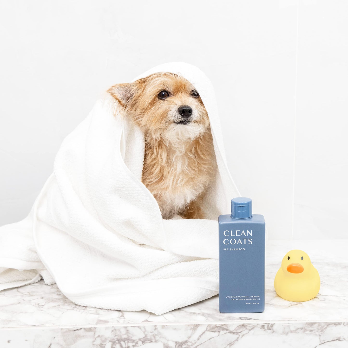 Clean Coats Fragrance Free Pet Shampoo for Dogs – Gentle Oatmeal & Aloe Leaf Formula for Sensitive Skin, Helps to Relieve Itchy & Dry Skin, Vegan Formula