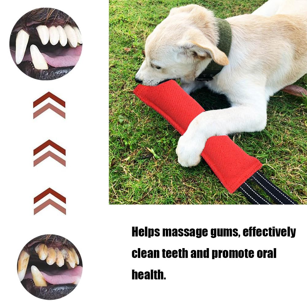 LZDGCC 2 Pack Tug of War Dog Toy, Interactive Dog Toys, Pet Tough Jute Bite Pillow with 2 Handles, Dogs Interactive Toy, Dogs Training Toys for Small and Medium