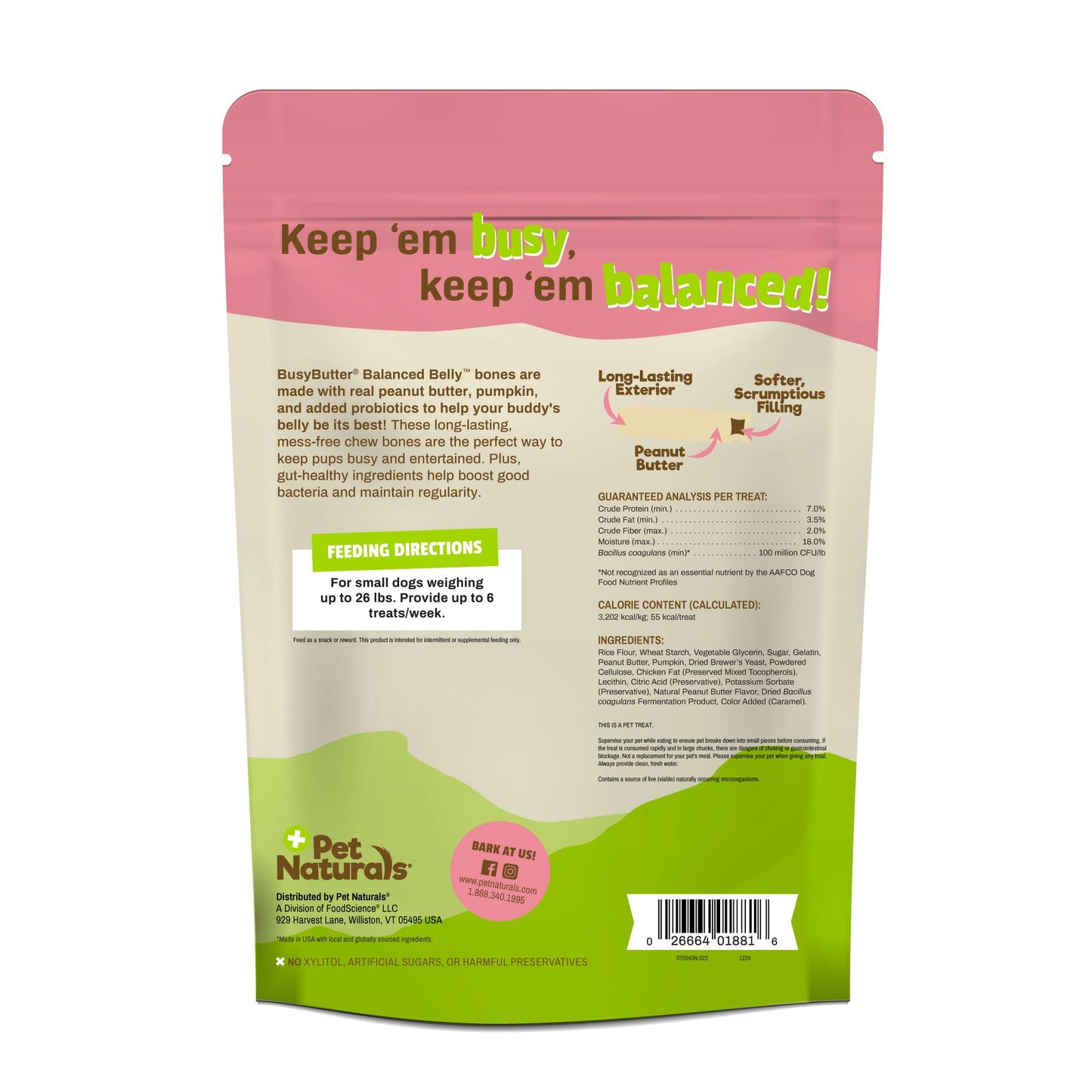Pet Naturals BusyButter Balanced Belly Peanut Butter Bones, Rawhide-Free Chews for Small Dogs, Long Lasting Chew Bones, Probiotics and Pumpkin for Gut Health, 22 Count