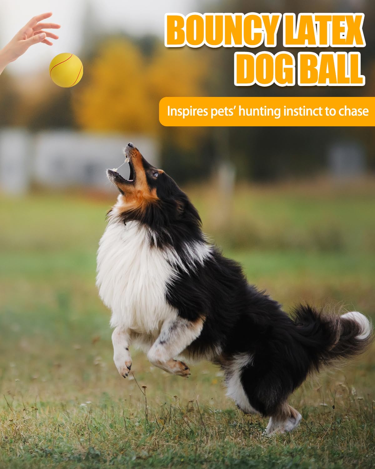 SCHITEC Squeaky Dog Toy Balls, [8 Pack] Latex Rubber Squeak Toys, 3'' Interactive Fetch Pet Ball for Medium Breed Dogs