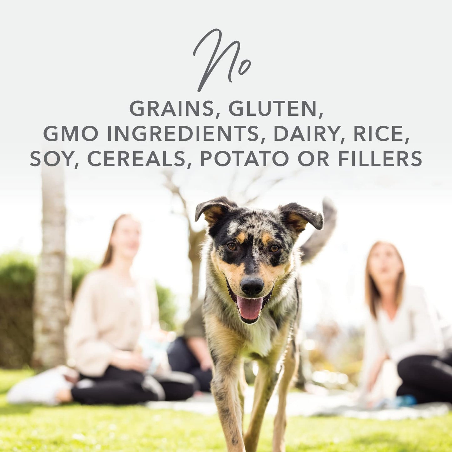 K9 Natural - Grain Free Freeze Dried Dog Food - Hoki & Beef, 4lb