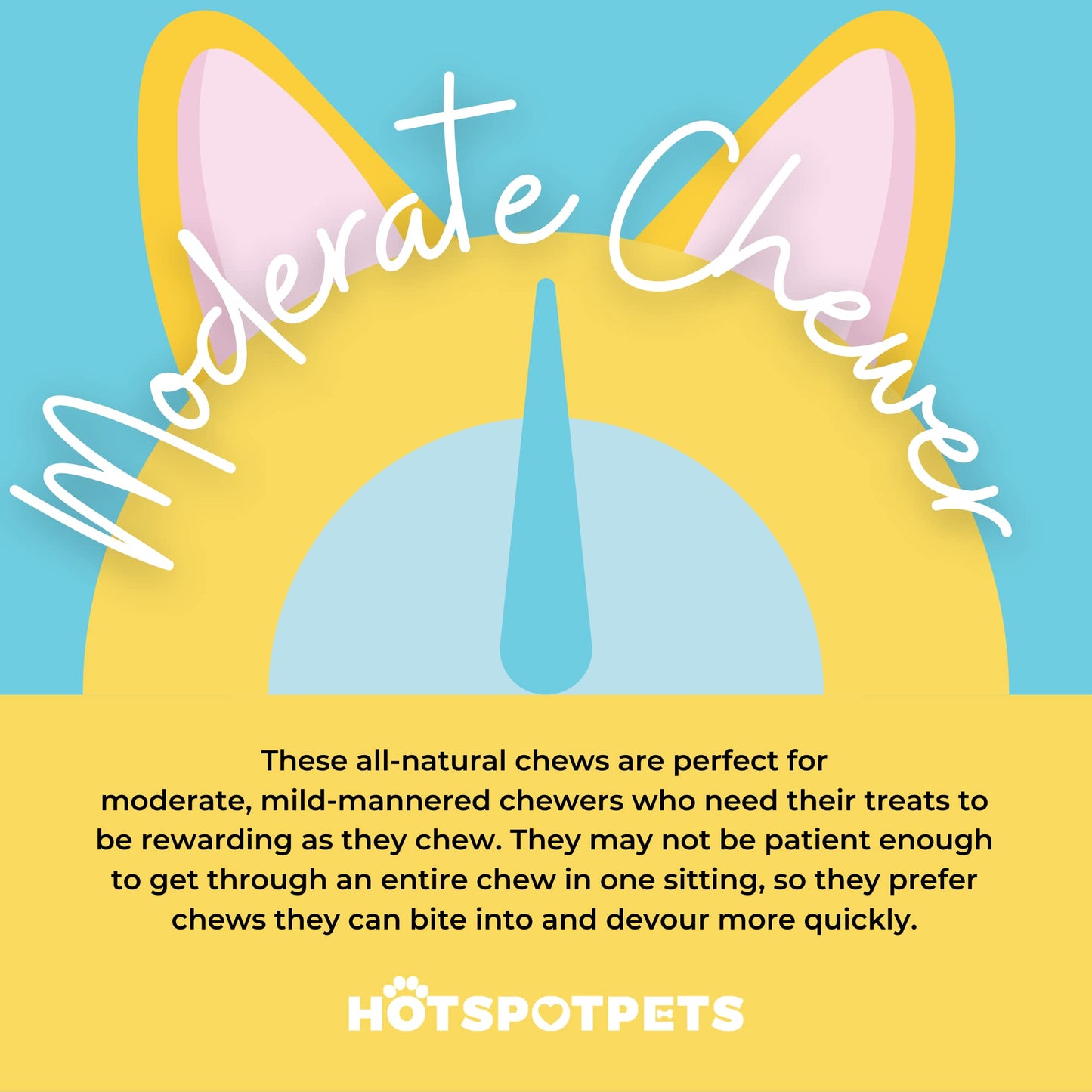 hotspot pets Bully Stick Rings for Dogs - (20 Pack) 4" Premium All Natural Long Twisted Beef Pizzle Dog Chew Treats, Low Odor- Grain Free Fully Digestible Rawhide Alternative -Thick Chew Circles