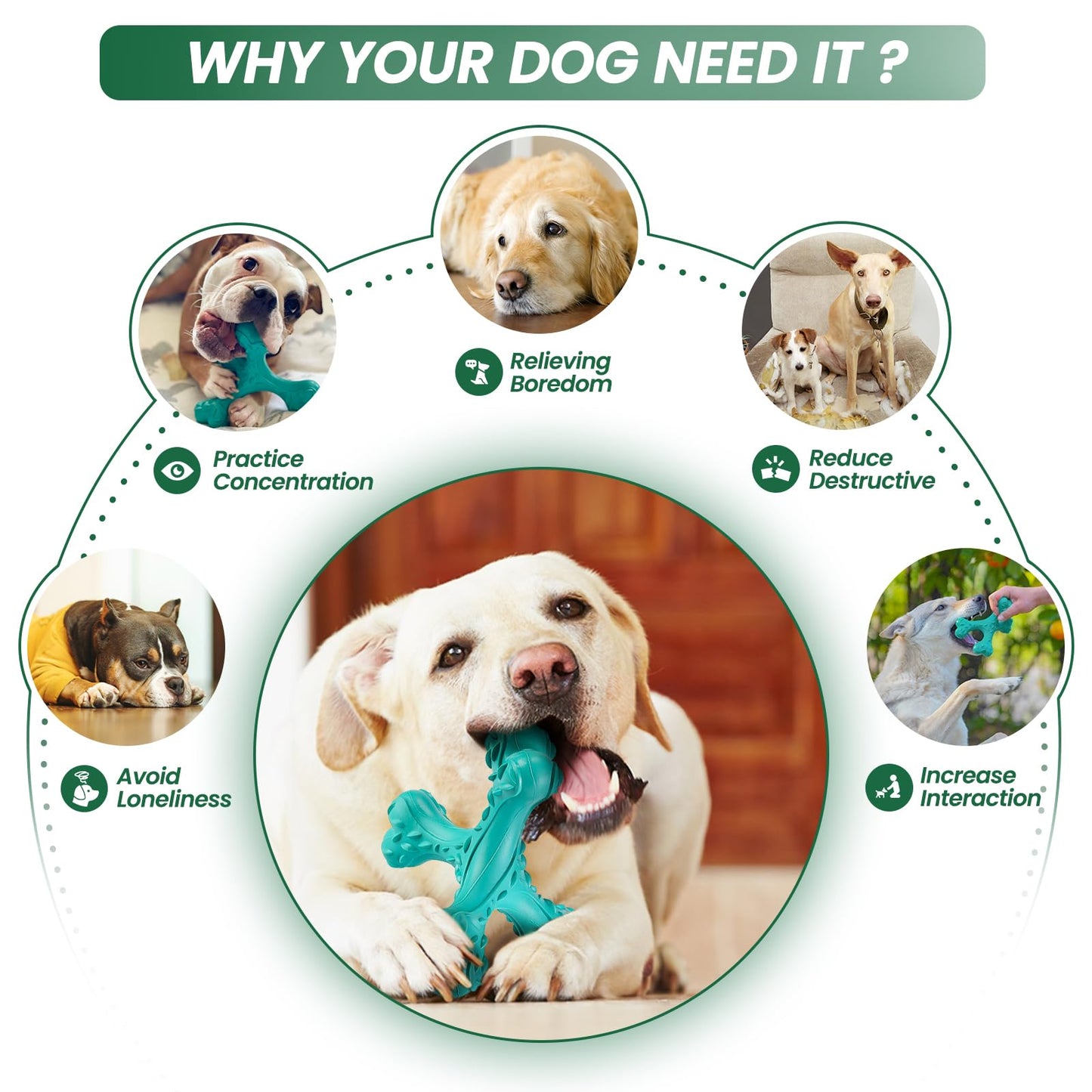 CVALIN Dog Chew Toys for Aggressive Chewers Large Breed,Indestructible Bones Toy，Durable Cleaning Toothbrush Natural Rubber Dog Toys… (Blue)