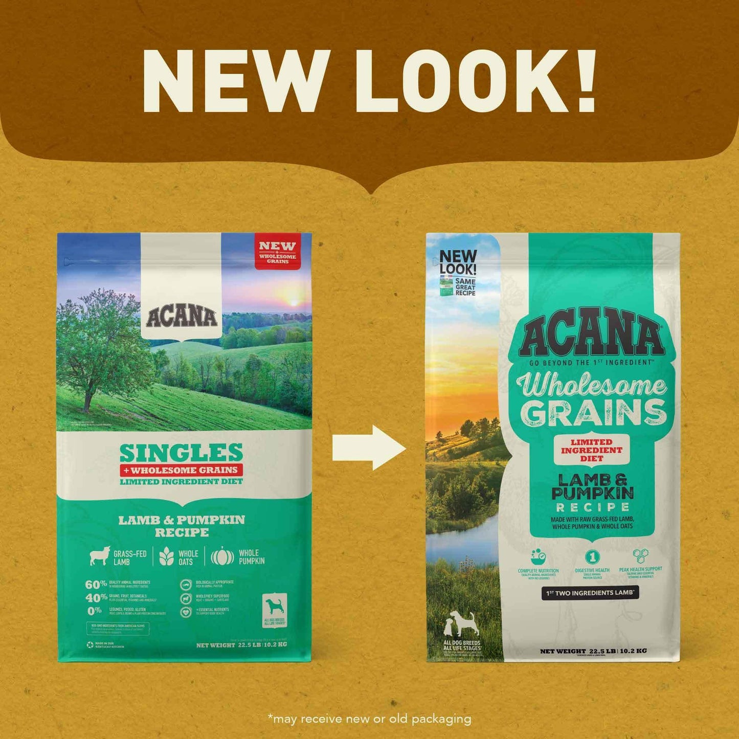 ACANA Wholesome Grains Dry Dog Food Limited Ingredient Lamb & Pumpkin Recipe 4lb Bag