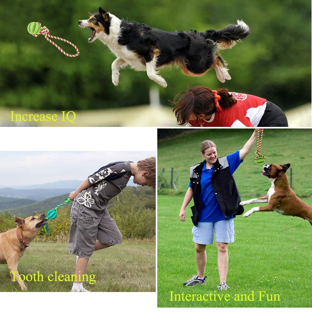 WeTest Dog Chew Ball Interactive Toys, Dog Cleans Teeth Training Balls on Cotton Rope For Small Medium Dogs (Green) (LJ-ZLK-112802)