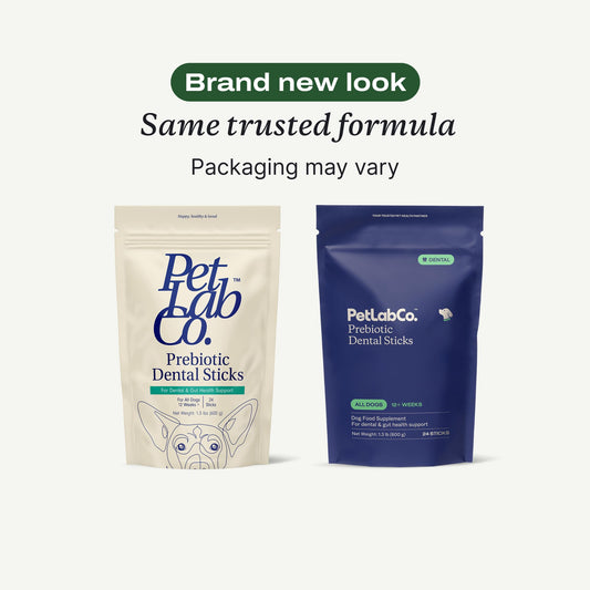 PetLab Co. Dental Sticks – Dog Dental Chews -Target Plaque & Tartar Build-Up at The Source - Designed to Maintain Your Dog’s Oral Health, Keep Breath Fresh and Provide Digestive Help (24 Sticks)