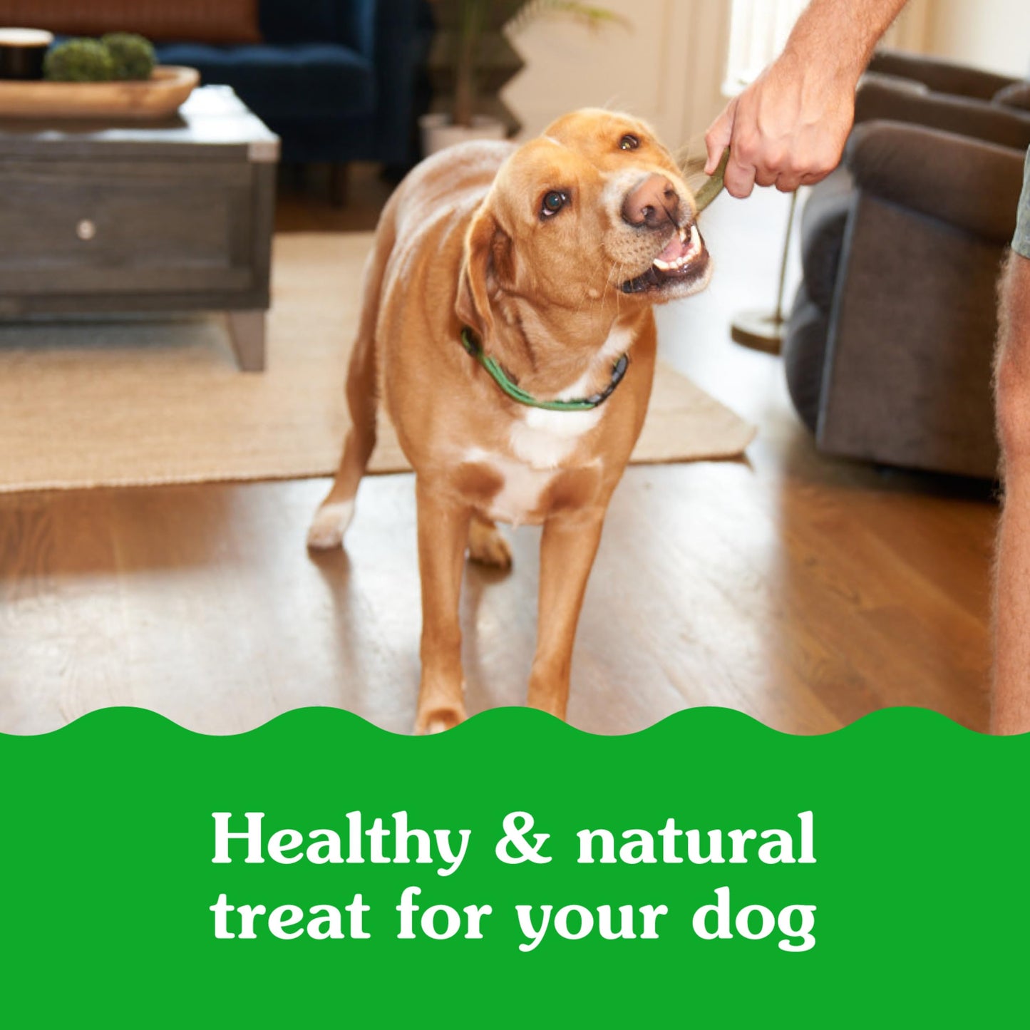 Greenies Smartbites Immune Support Crunchy & Soft Dog Treats, Chicken Flavor, 8 oz. Pack