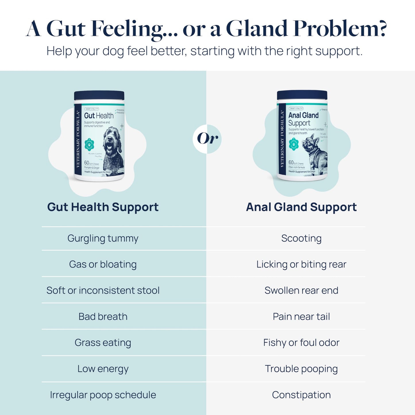 Veterinary Formula Gut Health Supplement for Dogs – Vet-Formulated Probiotic Chews with Digestive Enzymes & Fiber – Smart Vitality Supports Digestive Health, Gut Balance & Stool Quality, 60 Soft Chews