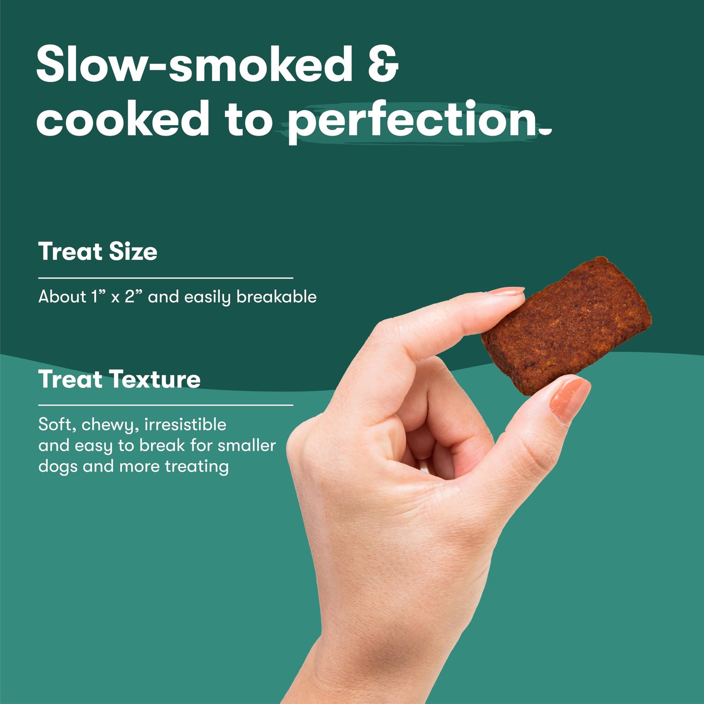 Jinx Salmon Tenders Jerky Dog Treats – Soft & Chewy, All Natural Dog Jerky Treats with High-Protein Salmon - Pet Products for All Dogs (Puppies, Adults & Seniors) - 5oz, Pack of 6