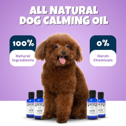 Pup Oils - Ink Oil | Dog Calming Supplement | Pet Health Vitamins Supplies| Liquid Drops | Anxiety Relief Oil | Aromatherapy Treatment | Vitamin Oils for Dogs
