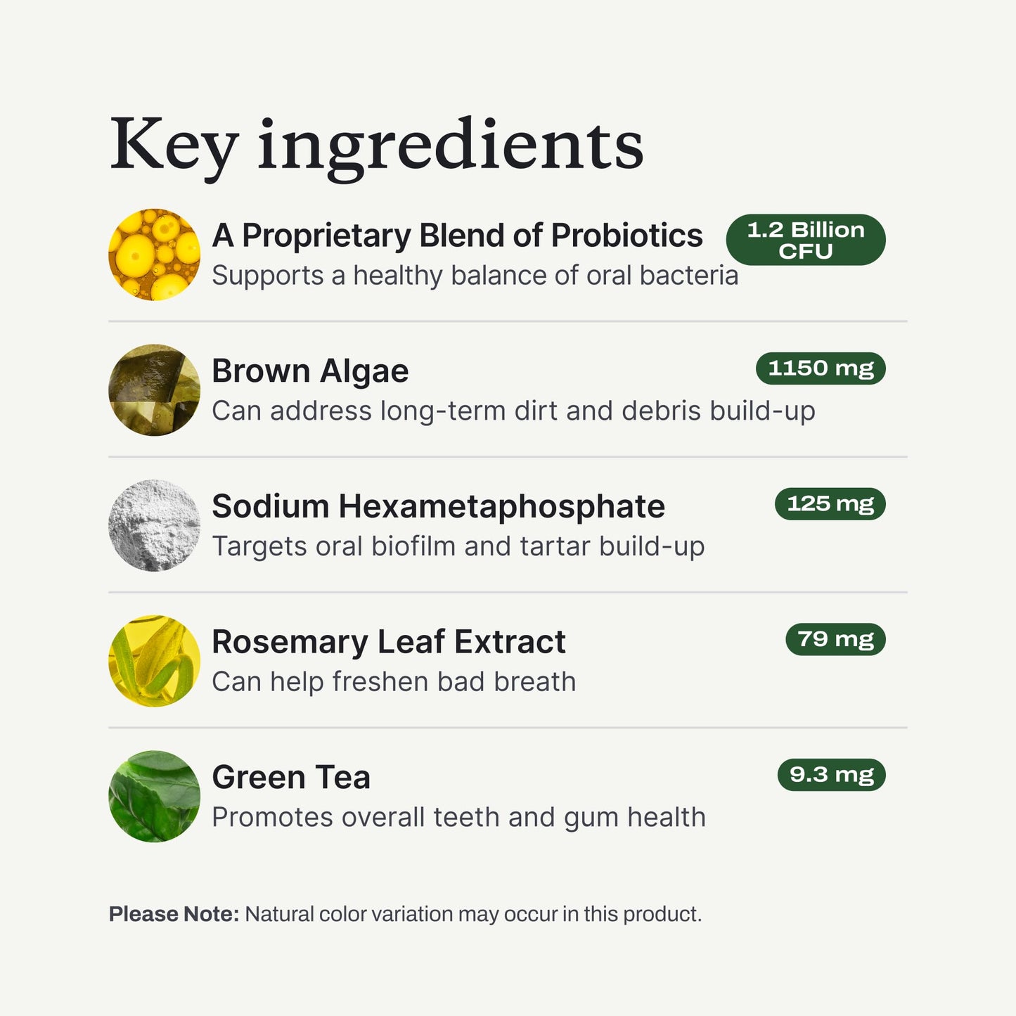 PetLab Co. ProBright Dental Powder - Dog Breath Freshener - Teeth Cleaning Made Easy – Targets Tartar & Bad Breath - Formulated for Large Dogs - Packaging May Vary