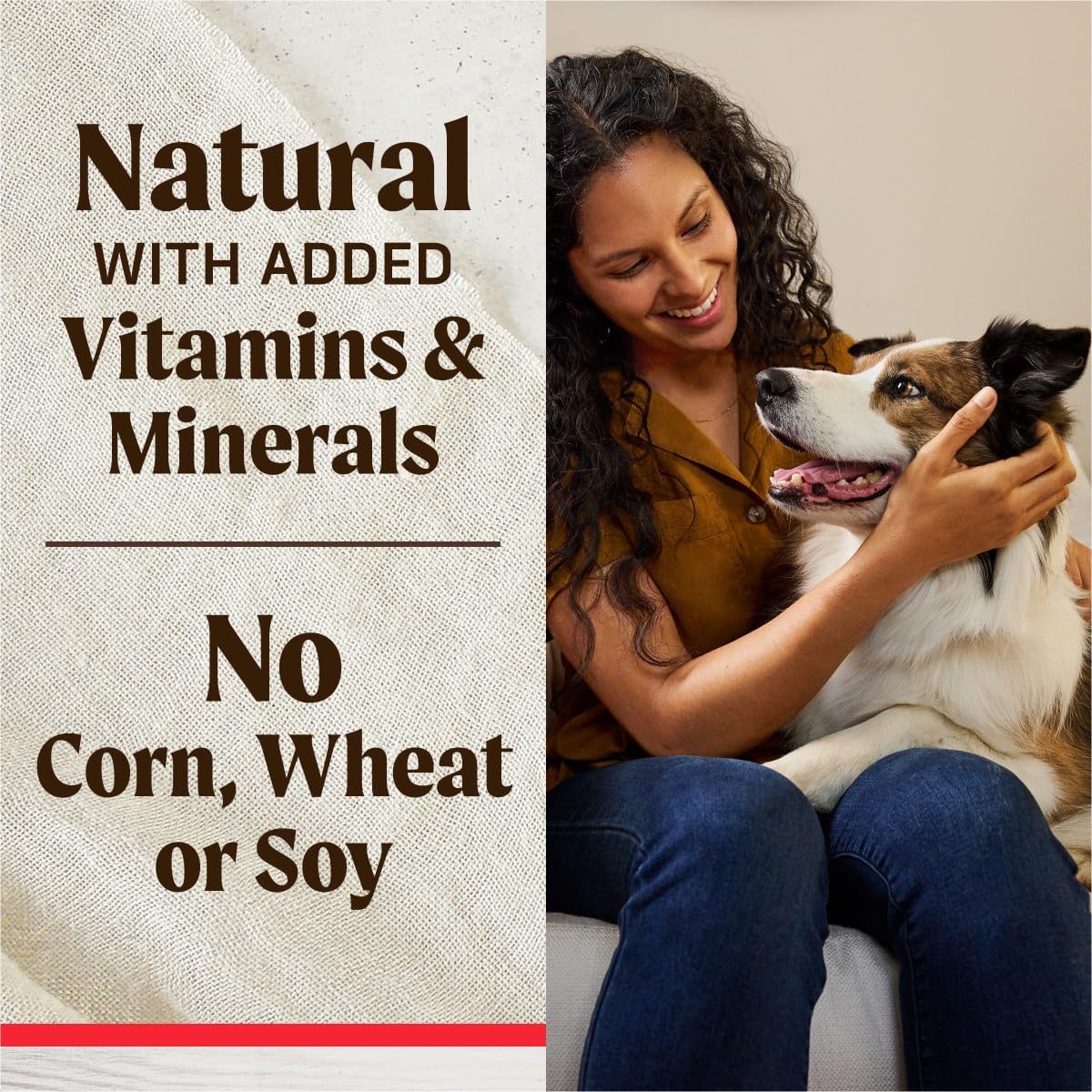 Merrick Healthy Bites Grain Free Dog Treats, Soft Treats with Bone Broth for Dogs, Beef and Bone Broth Recipe - 16 oz. Pouch