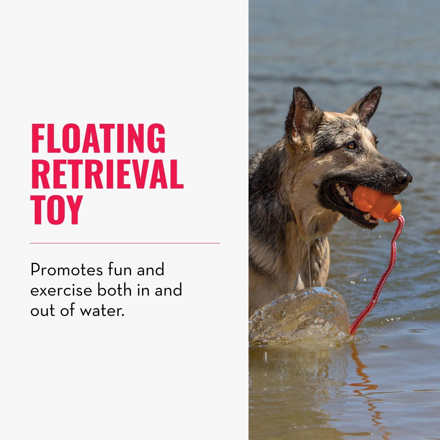 KONG Aqua Floating Fetch Toy - Dog Floating Toy for Water Retrieval, Play, Exercise & More - Natural Rubber Dog Toy with Foam Interior & Rope for Farther Throwing - Orange, for Large Dogs