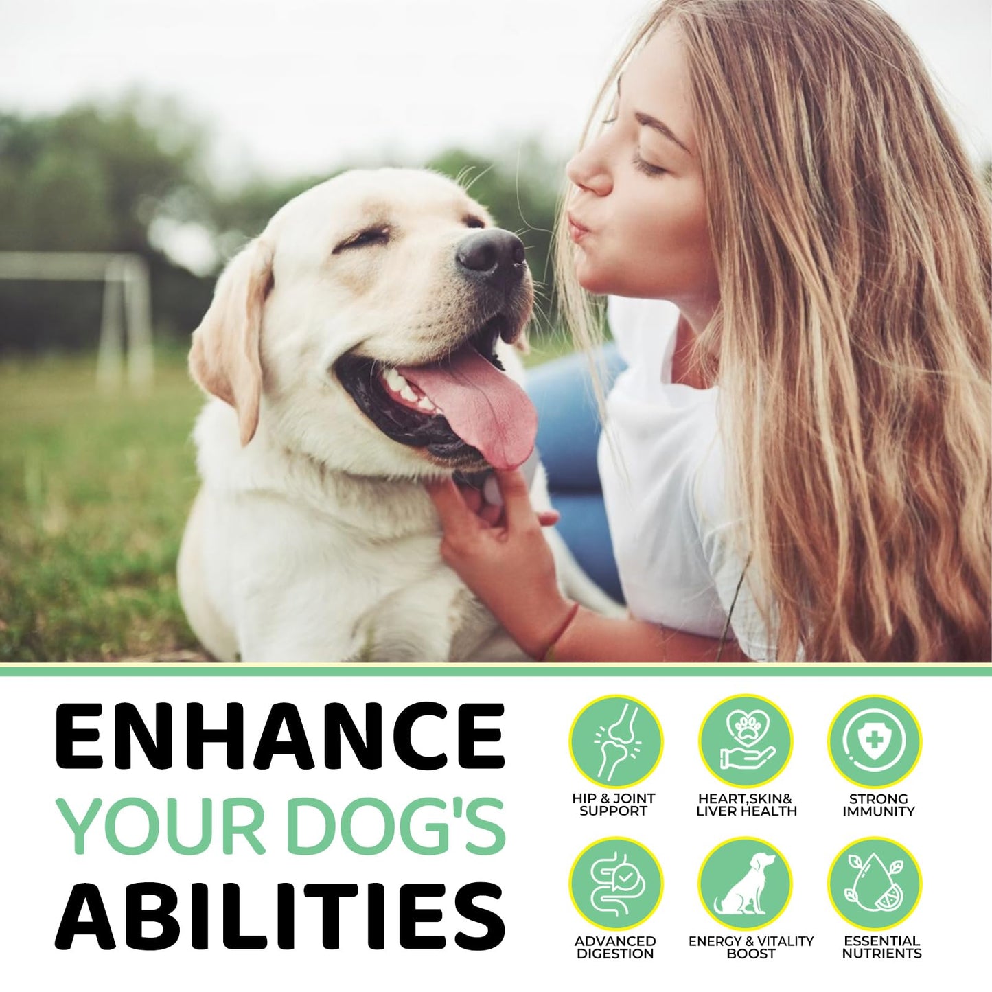 10-in-1 Dog Multivitamin Supplement, Calming Chews with Chondroitin & Probiotics, Mega Pack 10.6oz/300g (120 Chews), Supports Joint Health & Calming, Beef Flavor