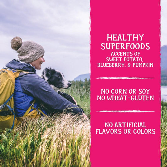 Triumph Free Spirit Grain Free Salmon and Vegetable Recipe Jerky Bites Soft Dog Treats, 20 Ounce (Pack of 2)