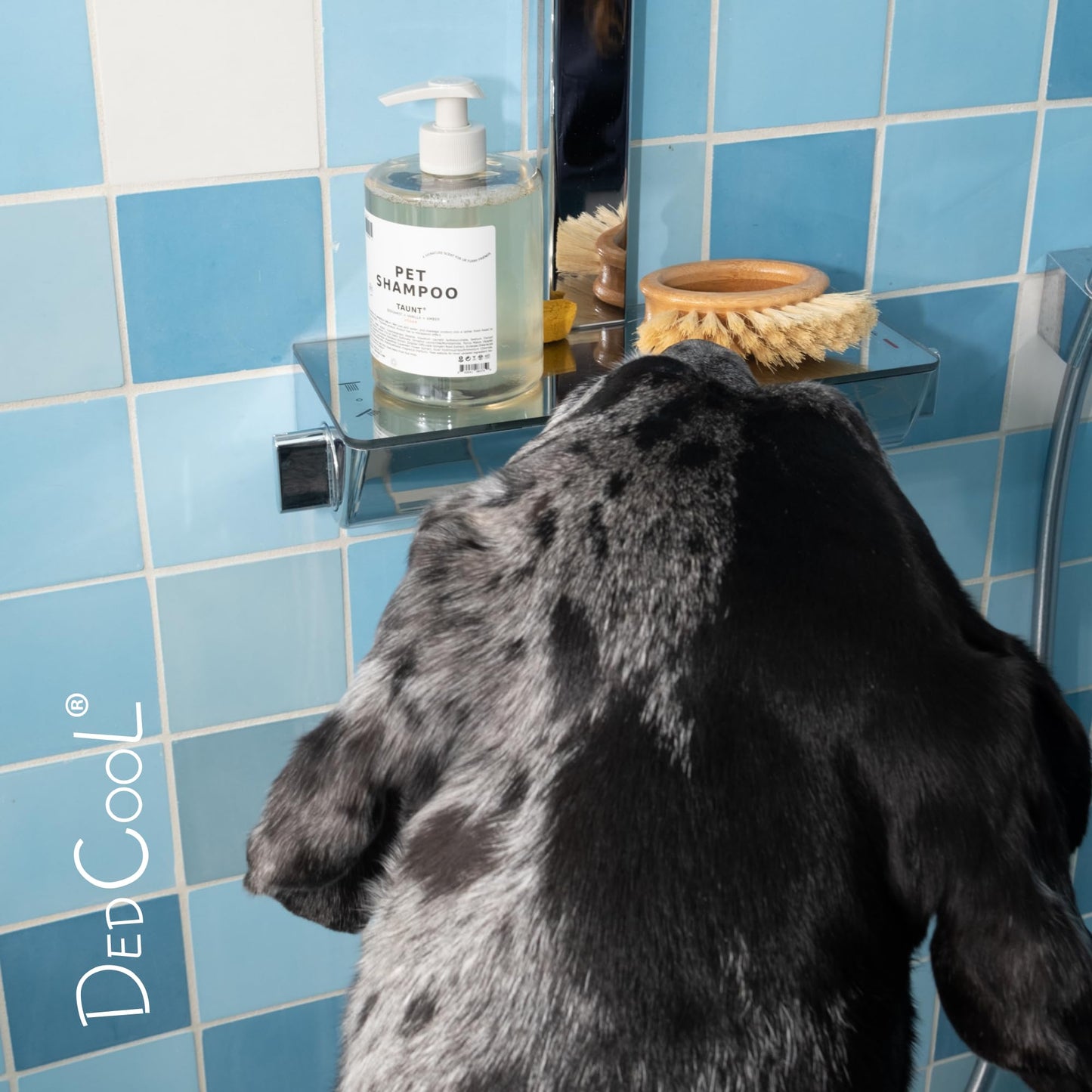 DedCool Pet Shampoo | 01 Taunt Scent | Hypoallergenic, Tear-Free Dog & Cat Wash for Sensitive Skin, Dryness & Itch Relief | Vegan, Non-Toxic, Deodorizing Cleanser | 16.9oz