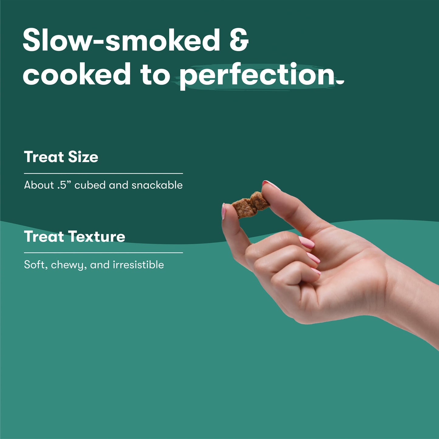 Jinx Chicken Bites Jerky Dog Treats - Soft & Chewy, All Natural Dog Jerky Treats with Cage-Free Chicken - Pet Products for All Dogs (Puppies, Adults & Seniors) - 15oz