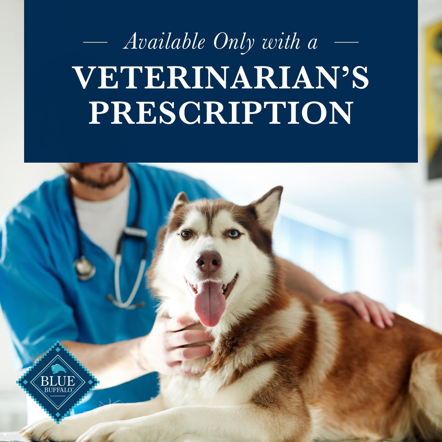 Blue Buffalo Natural Veterinary Diet W+M Weight Management + Mobility Support Dry Dog Food, Veterinarian Prescription Required, Salmon, 6-lb. Bag