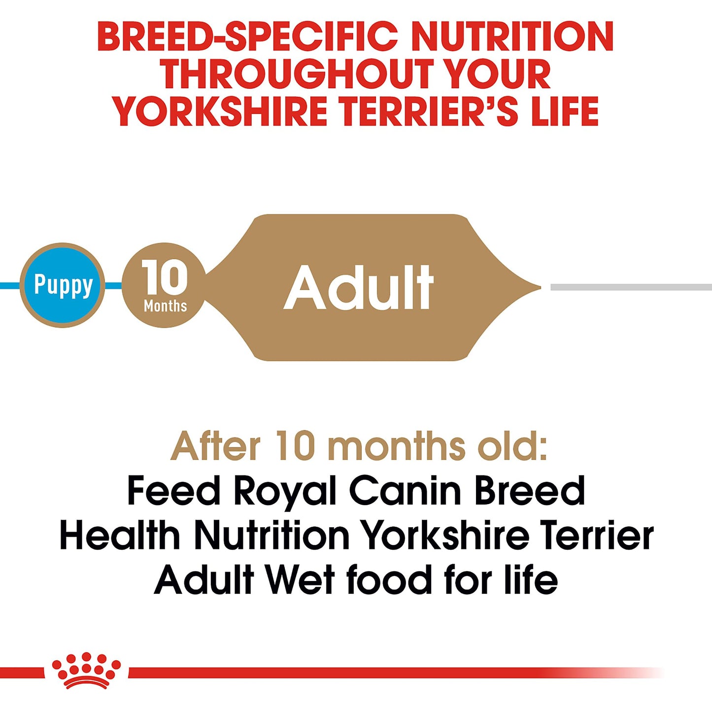 Royal Canin Breed Health Nutrition Yorkshire Terrier Adult Loaf in Sauce Dog Food, 3 oz (Pack of 6)