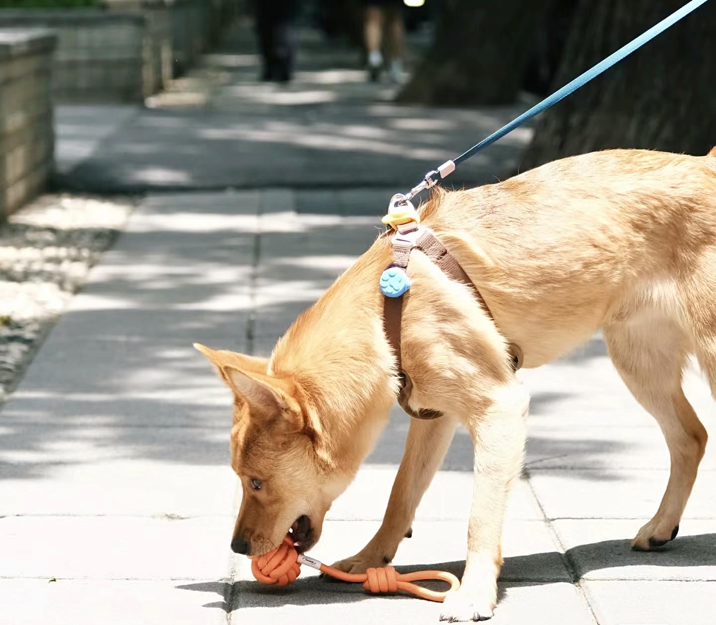 Dog Rope Toys,Medium and Small Pet Chew Toys,Pets Teething Rope Toys,Dog Toy Aggressive Chew Small Breed,Super Durable and Indestructible.(Carrot + Drop Ball, Count, 2)