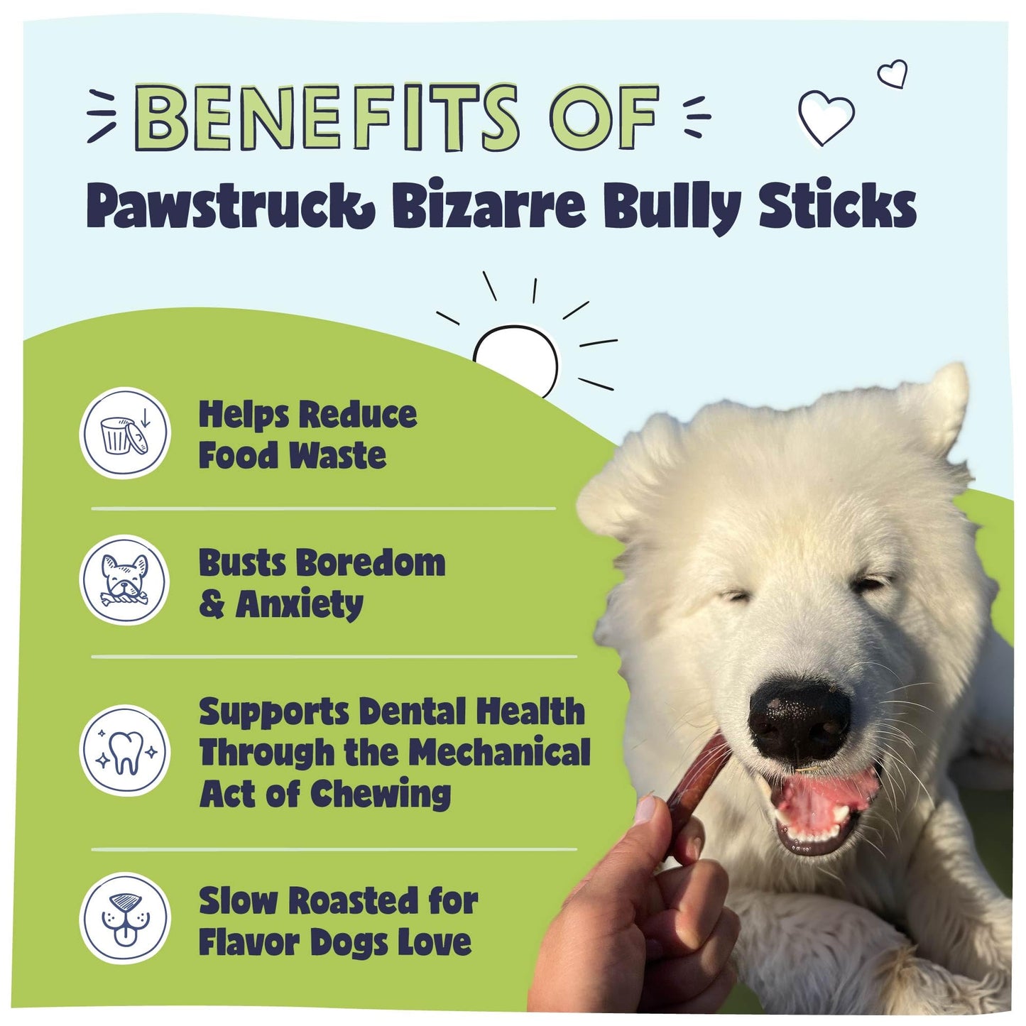 Pawstruck Natural Bizarre Bully Sticks Bargain Bag for Dogs and Puppies – Variety Pack of 5–7" Long-Lasting, Eco-Conscious Beef Chew Treats – 8 oz Bag – Packaging May Vary