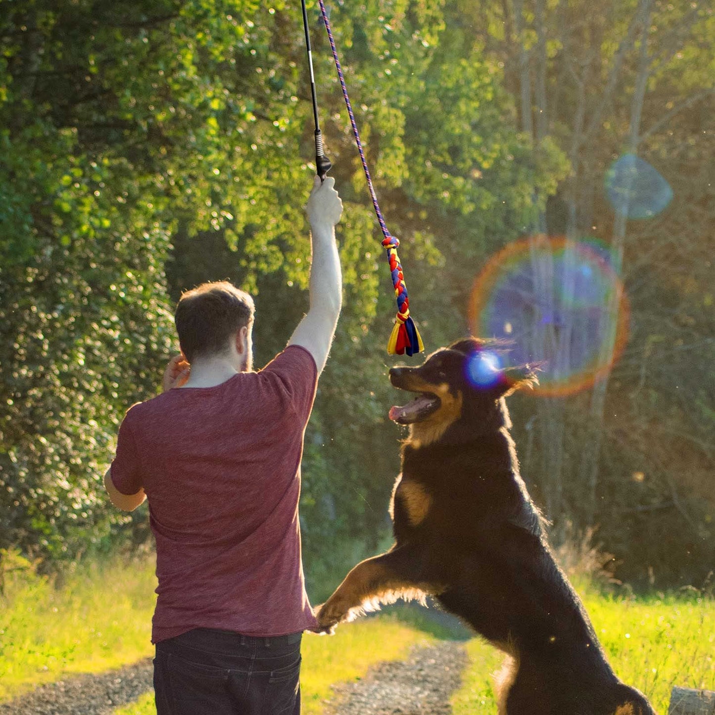 YINOR Flirt Pole for Dogs-Interactive Lures Durability Rope,Chase and Tug of war Puppy Toy，Outdoor Dog Agility Training Equipment Plush，Teaser Chew Pet Kits for Small Medium Dogs