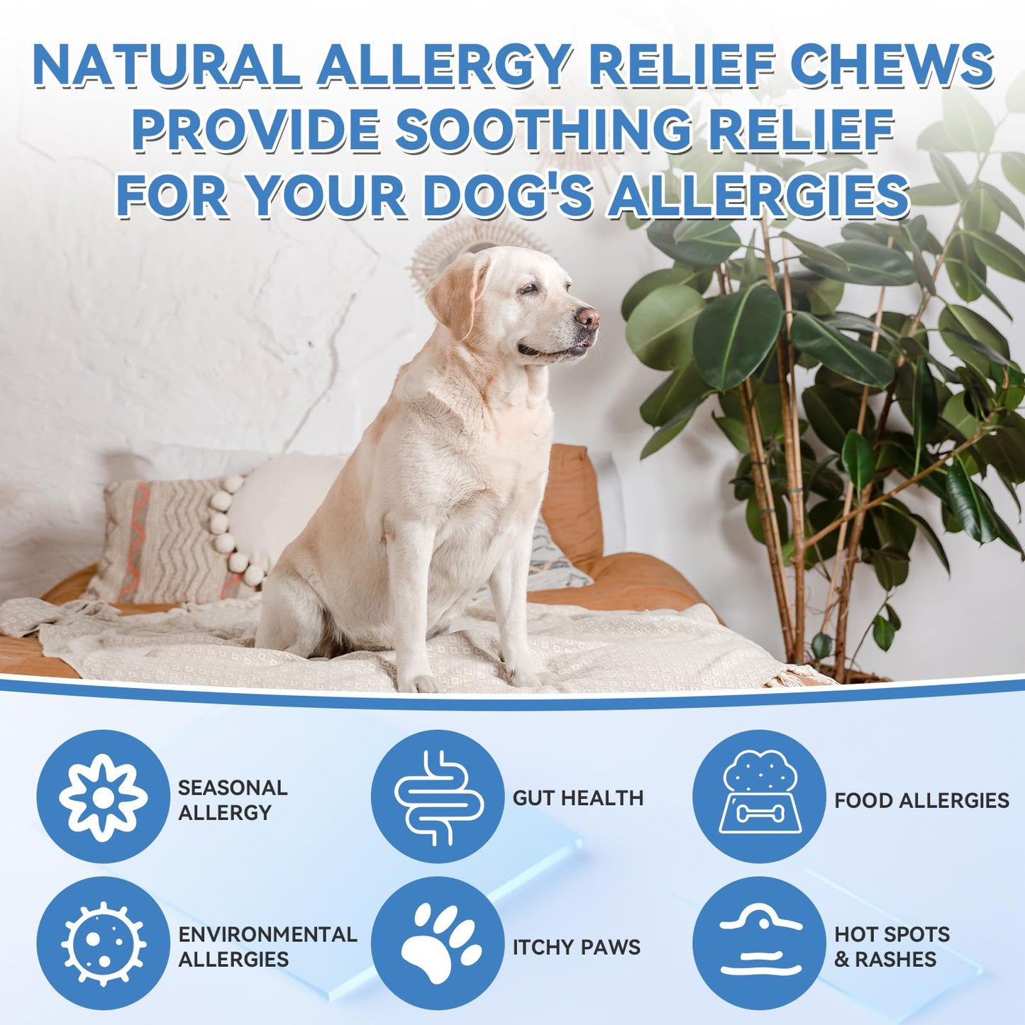 200 PCS Dog Allergy Chews, Dog Allergy Relief Chews with Probiotic Anti-Itch for Dogs - Omega 3 Fish Oil - Itching Skin Relief, Immune & Skin & Coat Support, Hot Spots, Paw Licking and Sensitivities