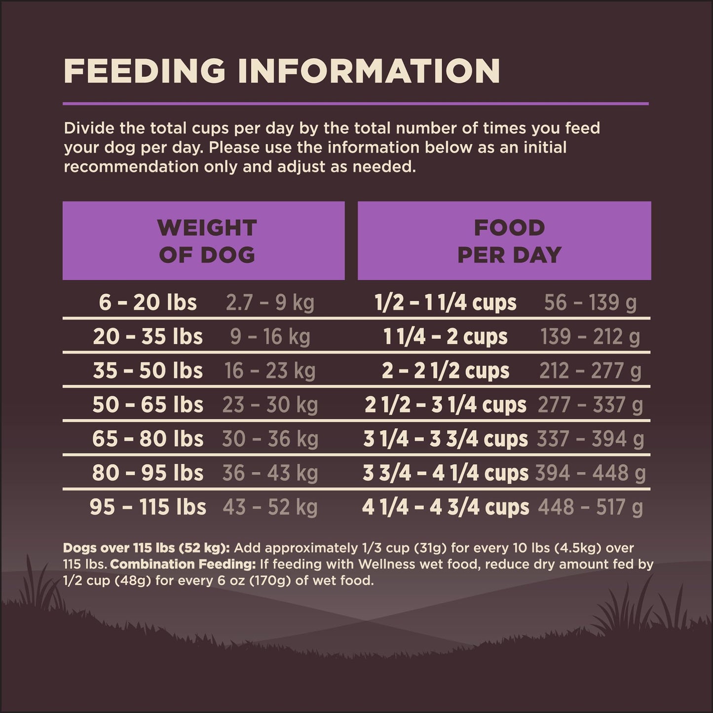 Wellness CORE Grain-Free Senior Dry Dog Food, Made in USA with Real Turkey and Natural Ingredients, With Nutrients for Immune, Joint, Skin & Coat Support, 24-Pound Bag