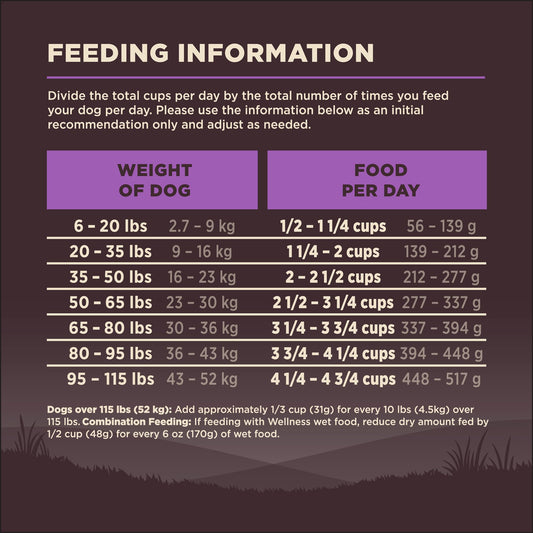 Wellness CORE Grain-Free Senior Dry Dog Food, Made in USA with Real Turkey and Natural Ingredients, With Nutrients for Immune, Joint, Skin & Coat Support, 24-Pound Bag