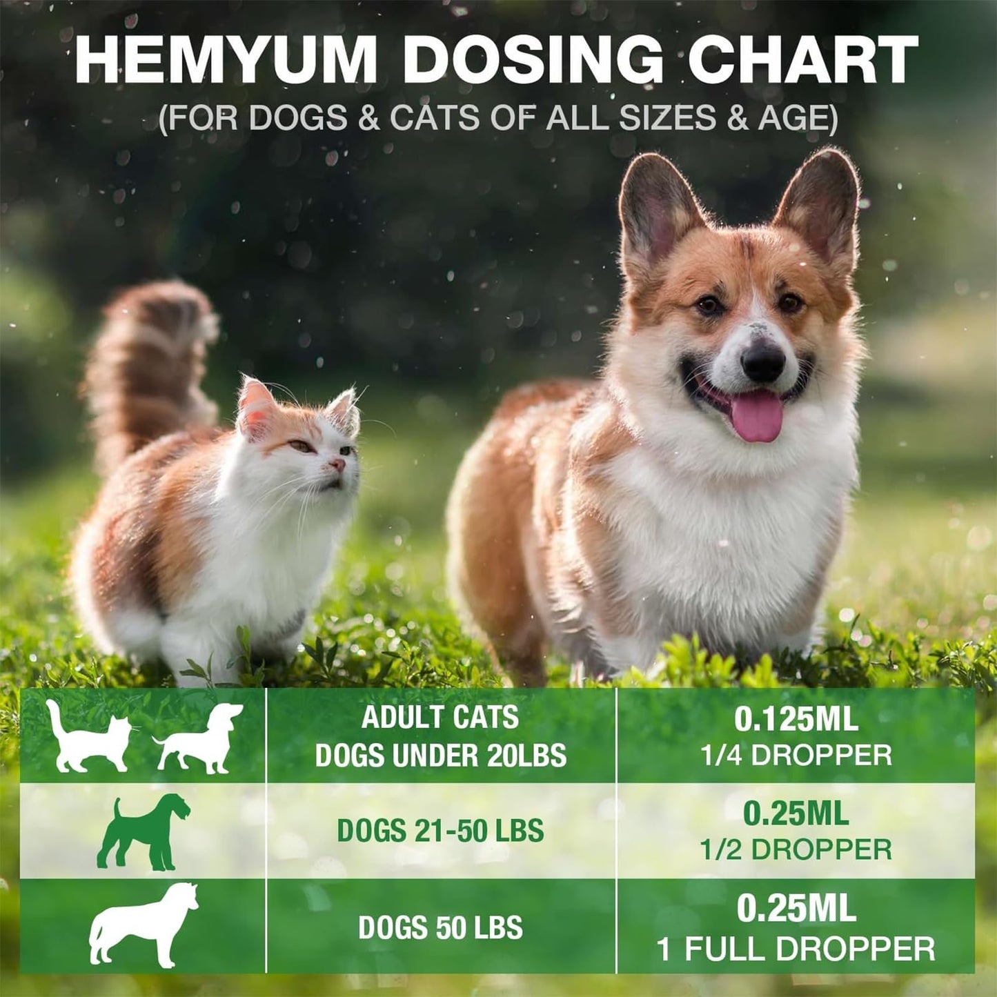 Pet Hemp Oil for Dogs Cats - Organic Hemp Extract Calming Drops, Helps Anxiety Stress Relax, Hip Joint Pain Relief Sleep Aid, Rich in Omega 3 6 9 Vitamin E