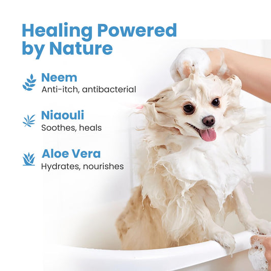 Medicated Organic Dog Shampoo Bar for Hot Spots, Dry Coat, and Allergies, All Natural Dog Shampoo with Neem, Aloe, and ACV, Eco-Friendly, Vet Recommended, 1 Bar for Sensitive Skin Relief