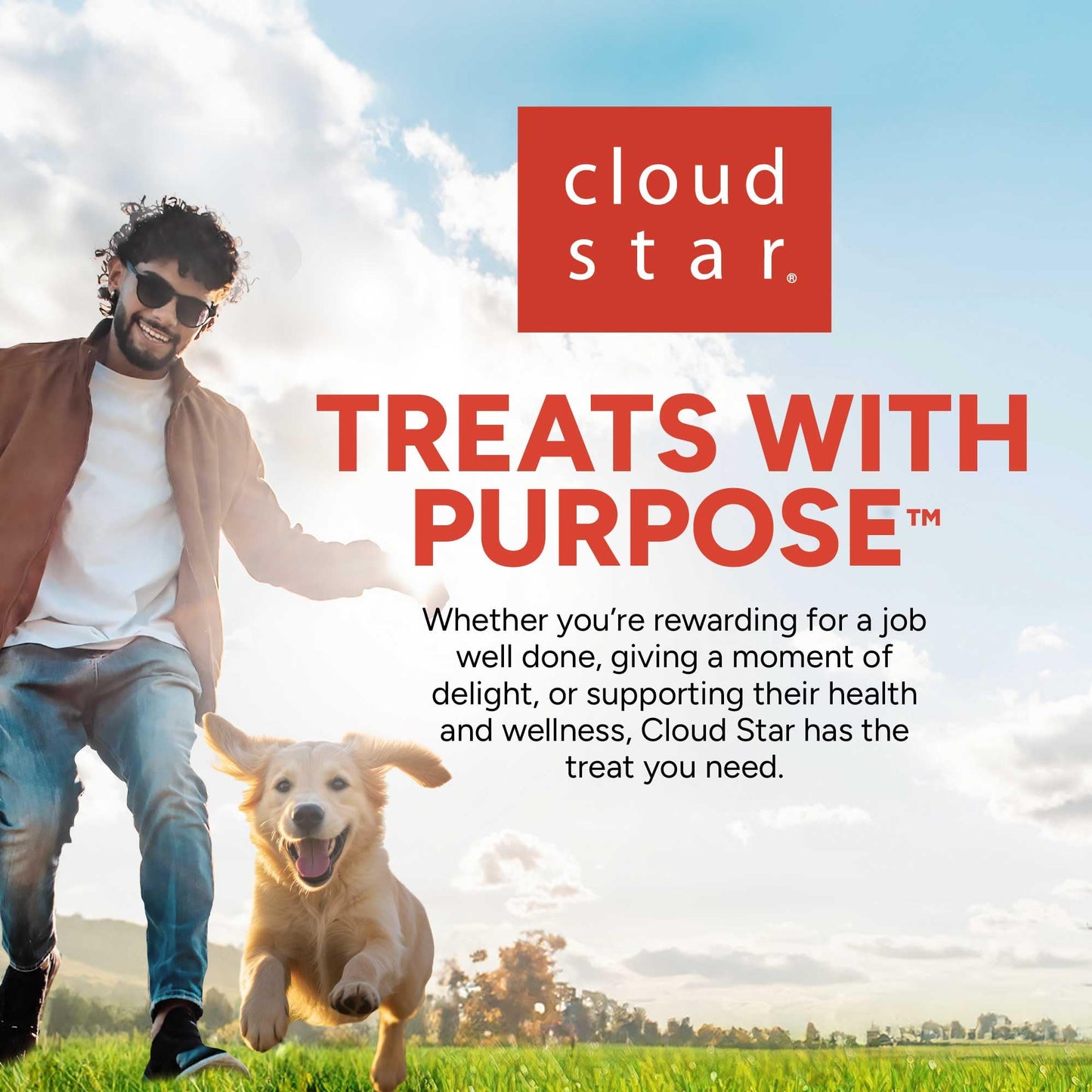 Pet Botanics 4 oz. Pouch Training Rewards Mini Soft & Chewy, Chicken Flavor, with 200 Treats Per Bag, The Choice of Top Trainers