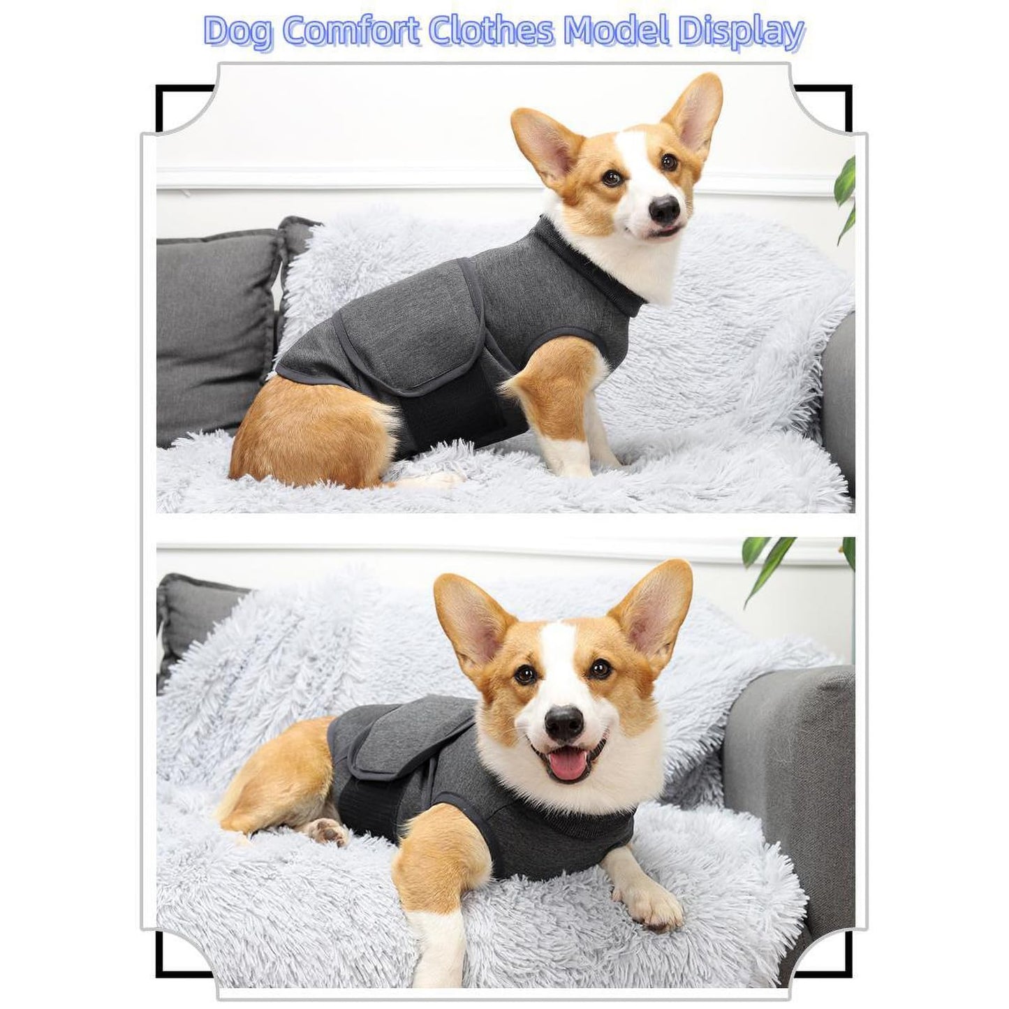 XIGOUPT Snuffle Mat for Dogs Interactive Sniff Mat for Slow Eating Pet Dog Feeding Mat for Floors Anti-Slip Could be Folded Free